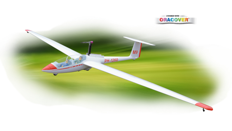 scale rc gliders